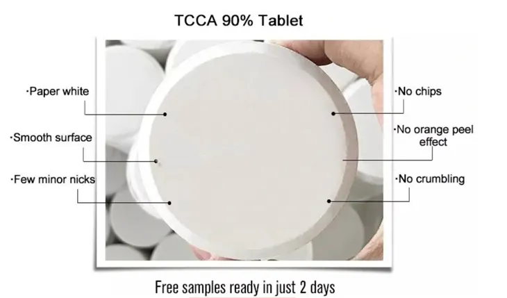 Shrimp Farm Disinfectant TCCA Chlorine 2g Tablet